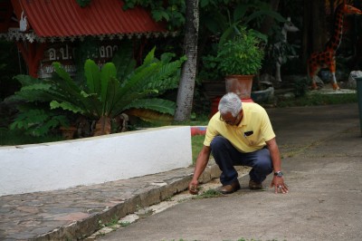 IMG_8387.JPG